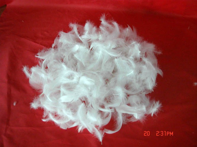 羊毛纺织